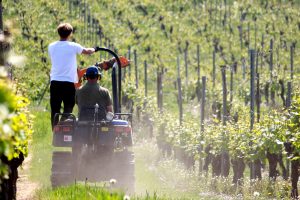 Frans klimaat Nederland