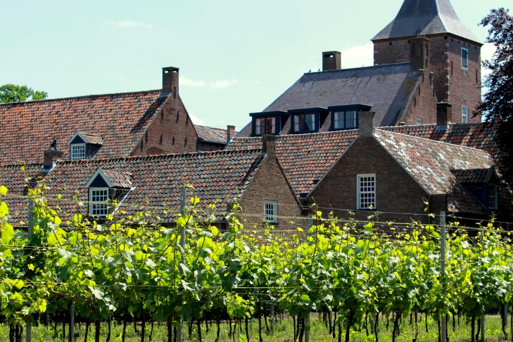 Kloosterwijn Sint-Catharinadal