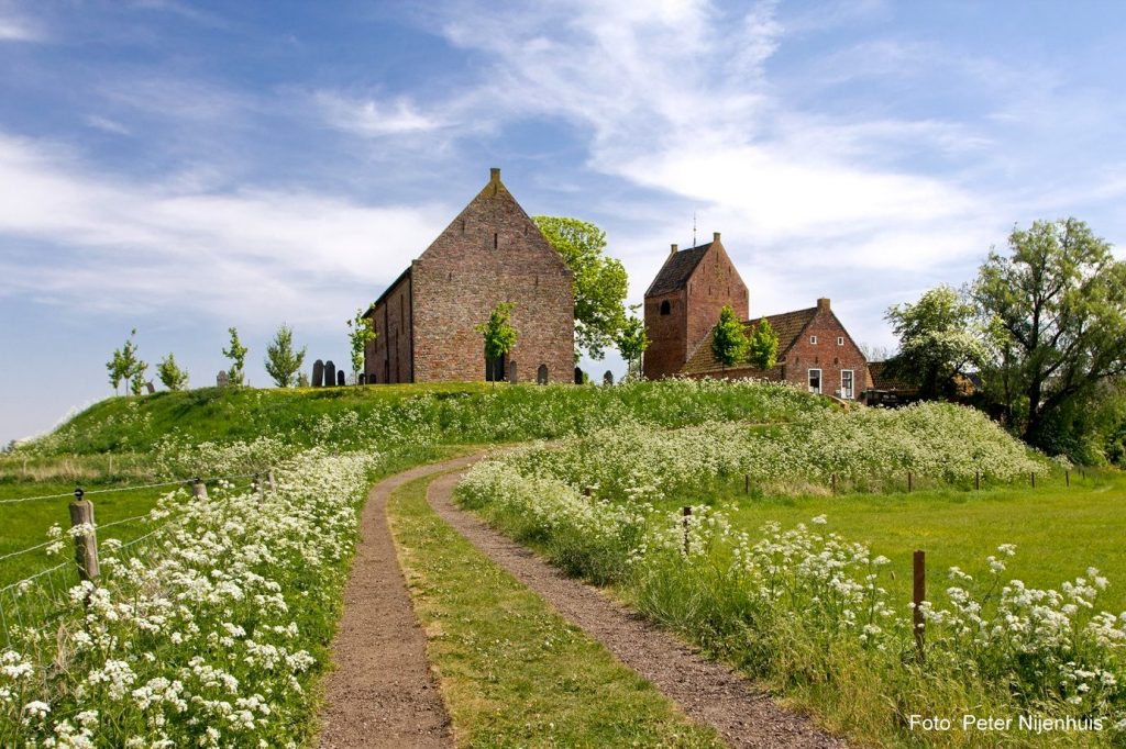 Groningse wijn