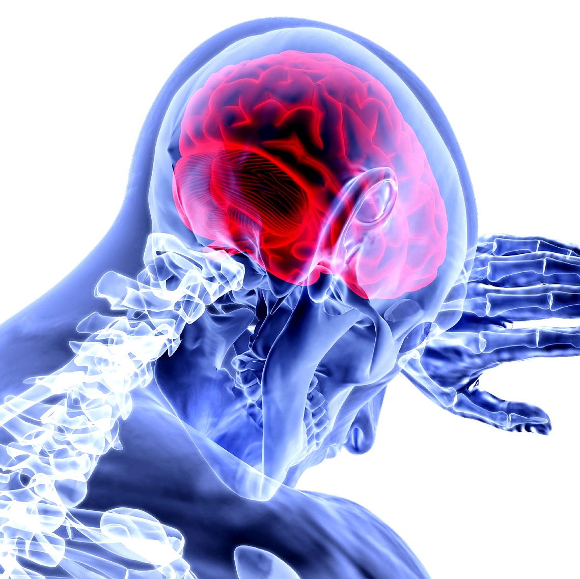 alcohol-en-gezondheid