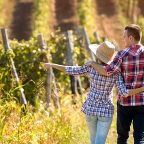 wijntoerisme-nederland-wijnweekendjeweg