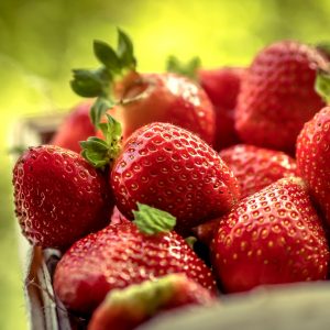 Brabantse wijn Noord-Brabant