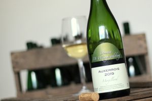 Auxerrois 2019 Wijngaardsberg
