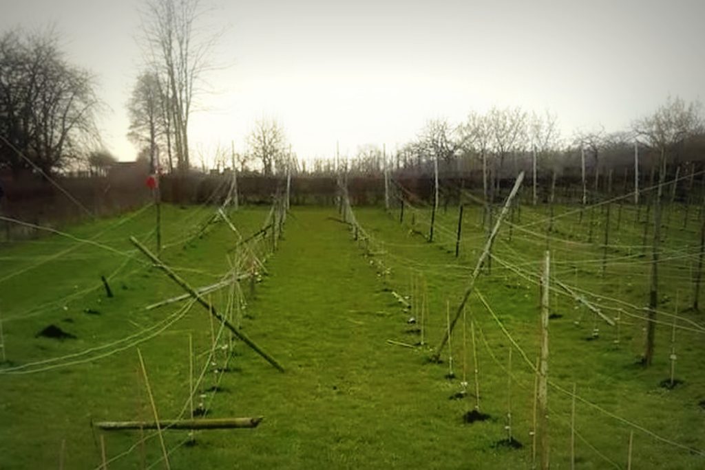 Vernielingen vandalen Riesenberg