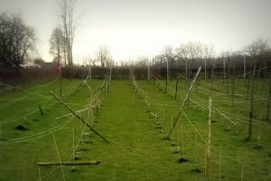 Vernielingen vandalen Riesenberg