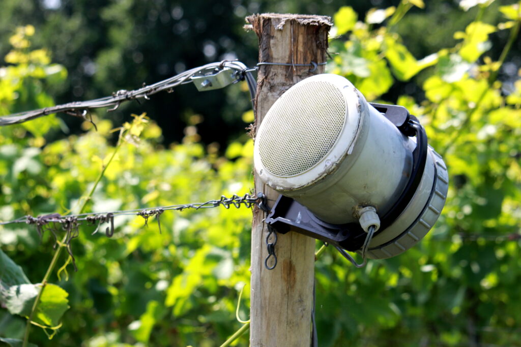 Klassieke muziek Reestlandhoeve