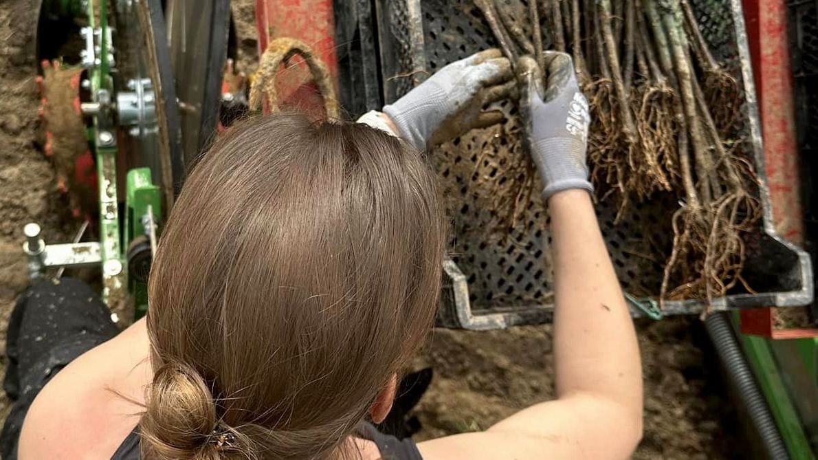 Uitbreiding wijnbouwsector 2023