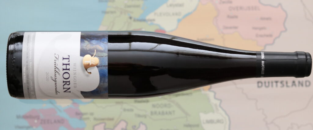 Druivenras Frühburgunder Thorn