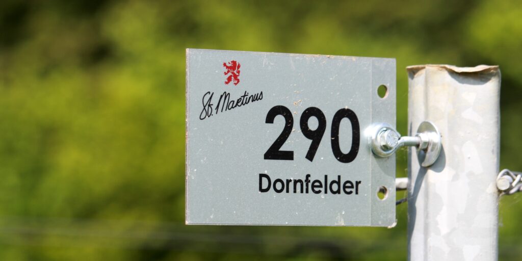 Stan Beurskens Martinus