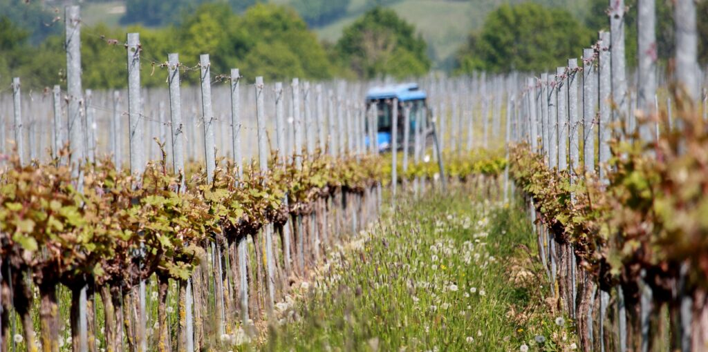 Stan Beurskens Martinus