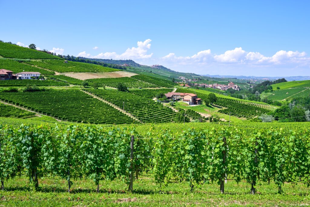 Agriturismo wakker worden