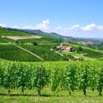 Agriturismo wakker worden