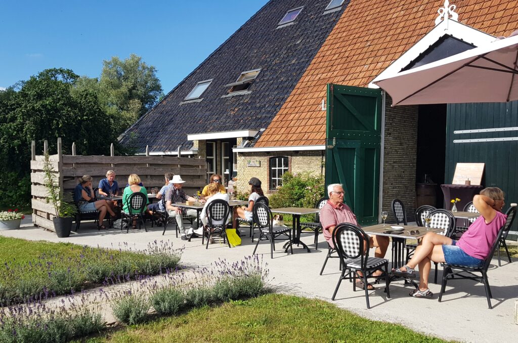 Wakker wijngaard heidepleats