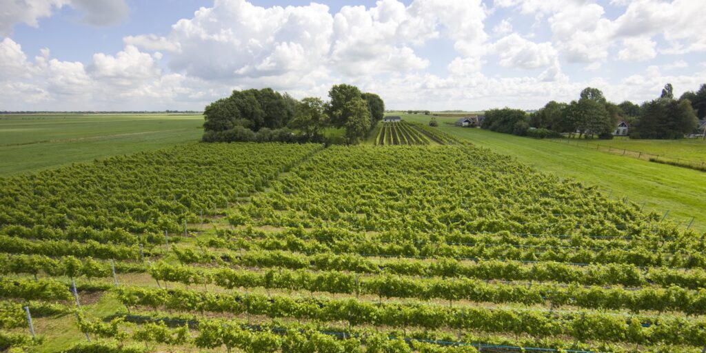 Wakker worden heidepleats