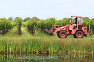 Kwaliteit werkgelegenheid wijnbouwsector