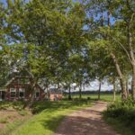 Joarum wakker wijngaard