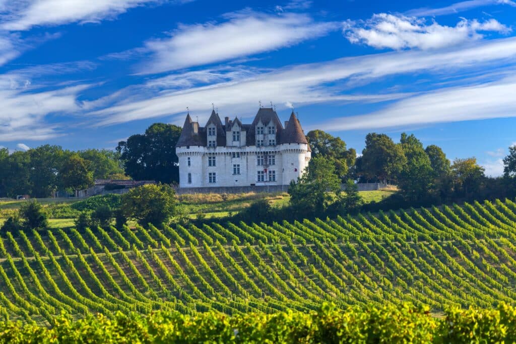 Beleving verleiding marketing