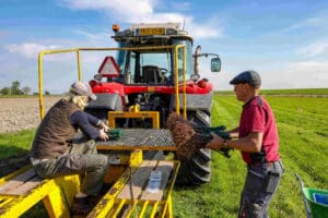 Groei nederlandse wijnbouwsector