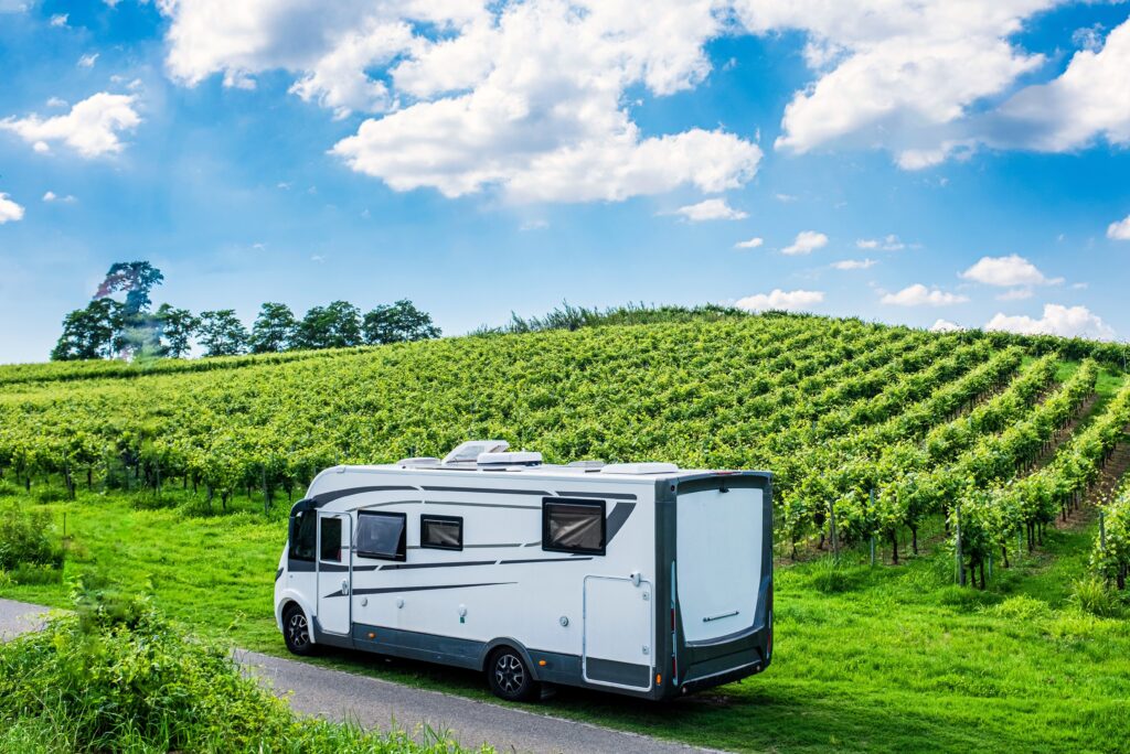 Vakantie wijnbeleving column