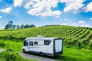 Vakantie wijnbeleving column