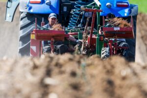 Nederlandse wijnbouwsector 2024