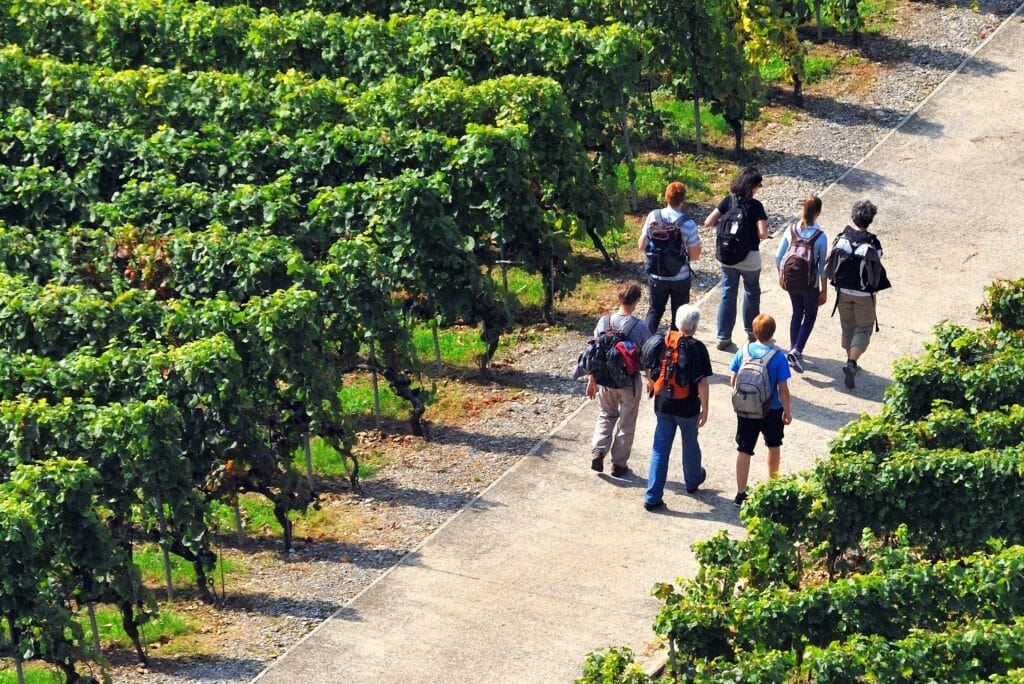 Gastvrijheid Nederlandse wijnboeren