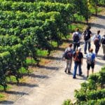 Gastvrijheid Nederlandse wijnboeren