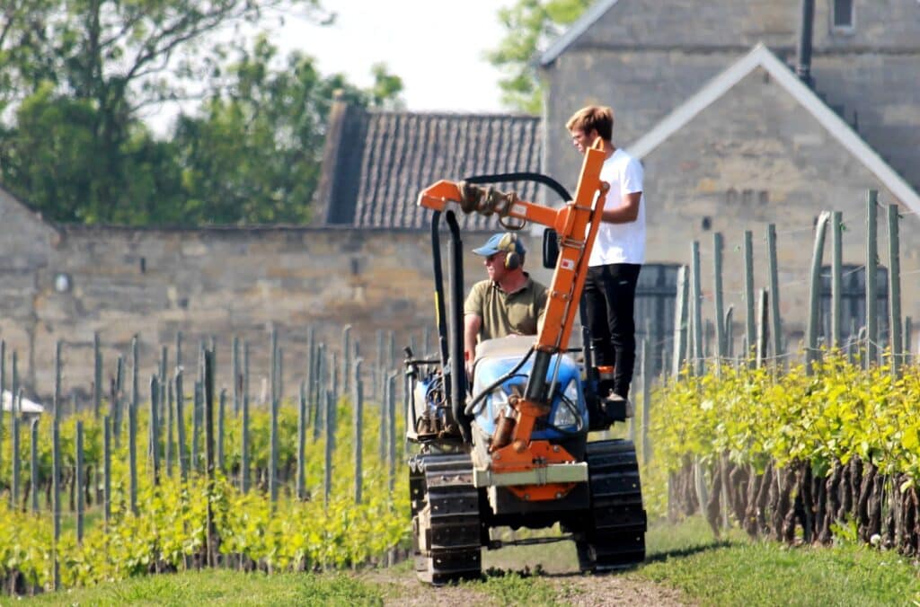 Apostelhoeve Nederlandse wijn
