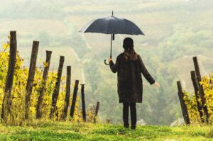 Column Klimaatverandering wijnbouw