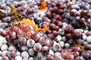 Column IJswijn Suter