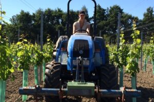 Wijngaard MinZeven koop