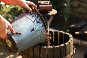 Column kleine wijnhuizen