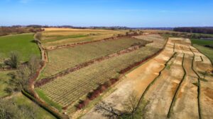 Domein Aldenborgh koop