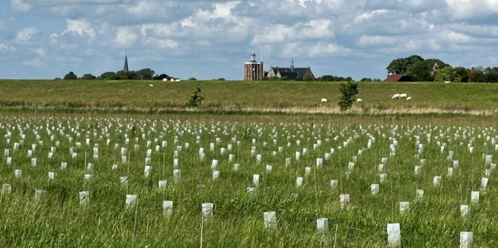 Oproep nieuwe aanplant