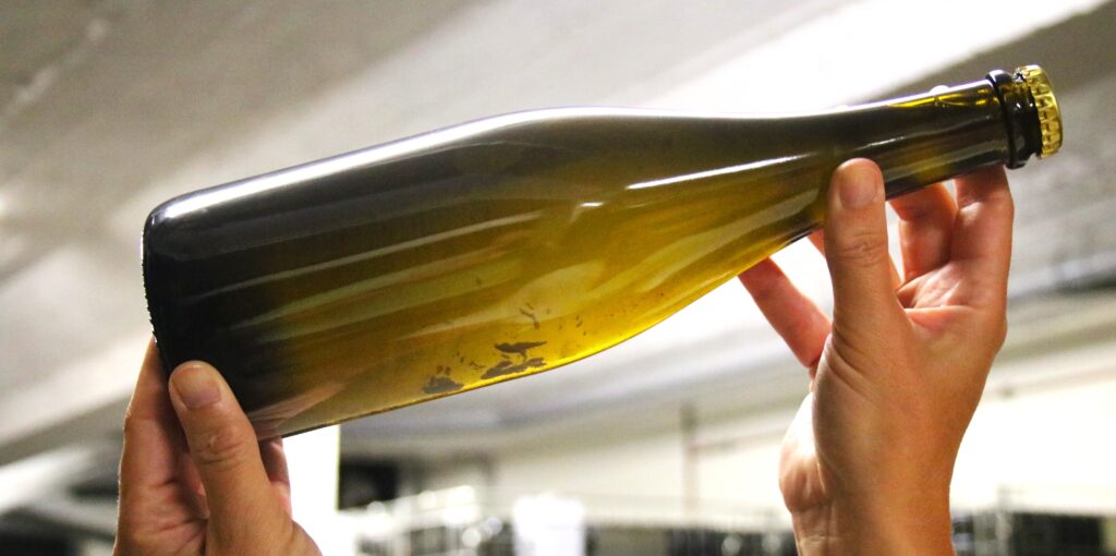 Vergisting fles bubbel