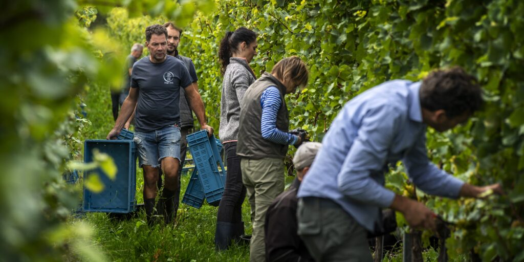 Domein Holset bubbels