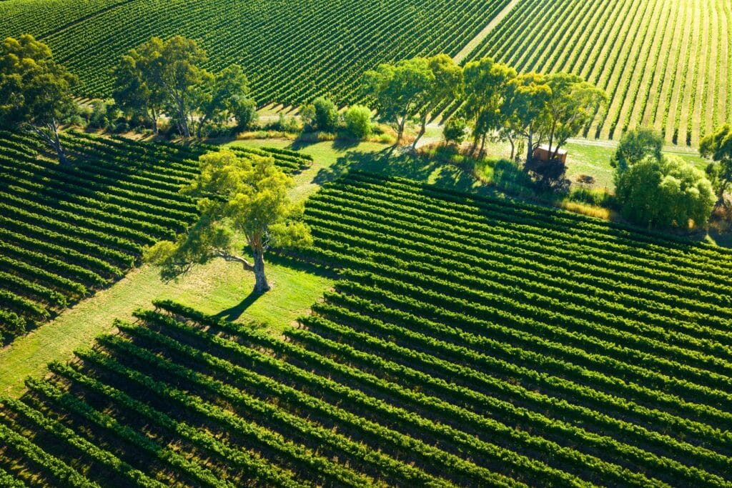 Rapportcijfer ruimte reestlandhoeve