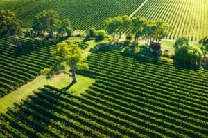 Rapportcijfer ruimte reestlandhoeve