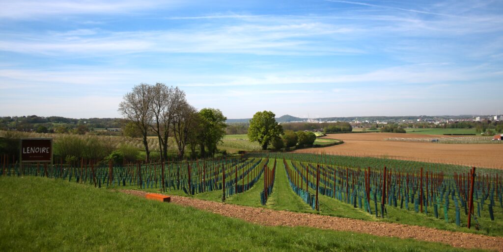 Lenoir verkoop restaurant