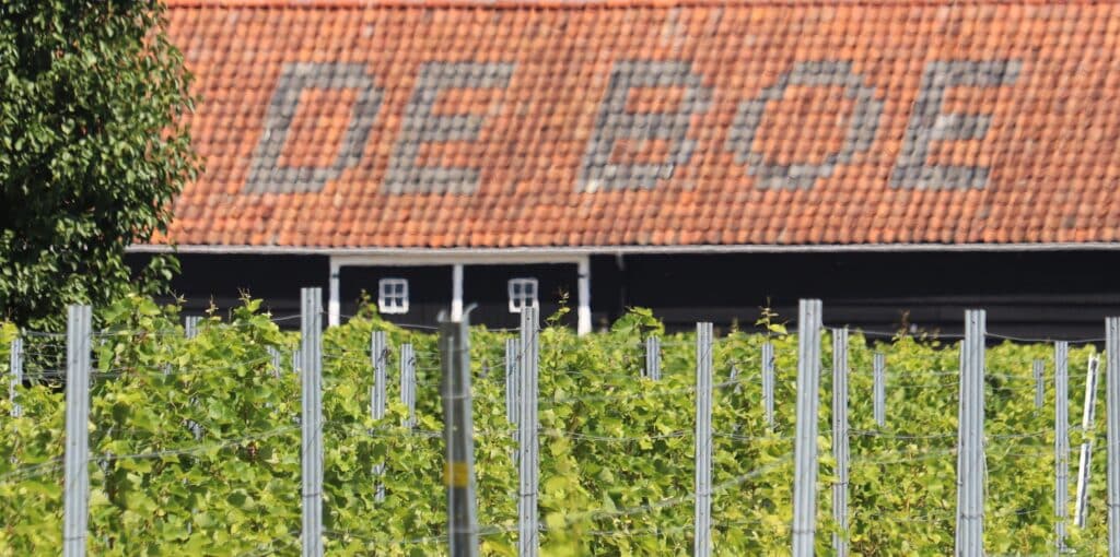 Veere De Boe