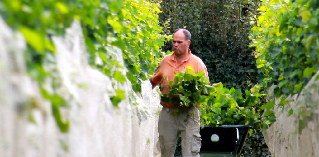 Crowfunding Brabantse Wal