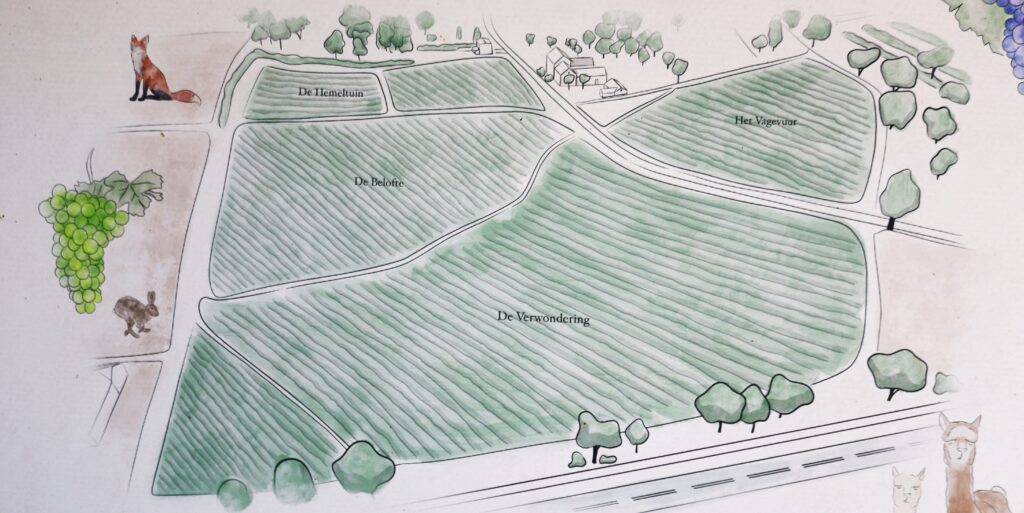 Wijnlandgoed Sterreheim