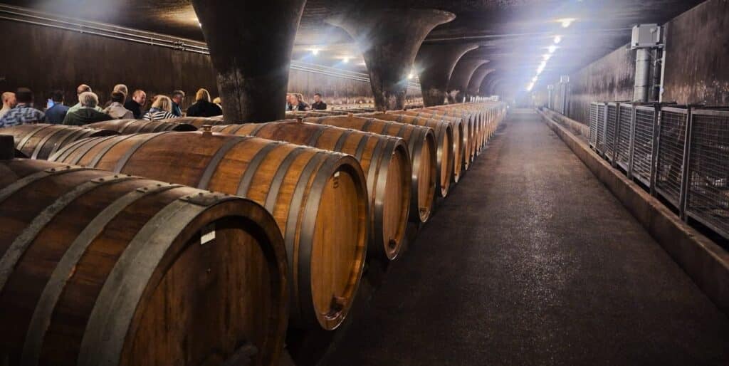 Studiereis Moezel 2026