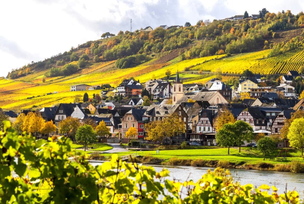 Studiereis Moezel 2026