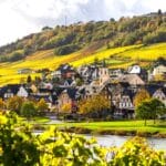 Studiereis Moezel 2026