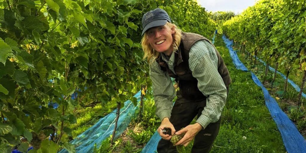 Wijngoed Noordpol 2026