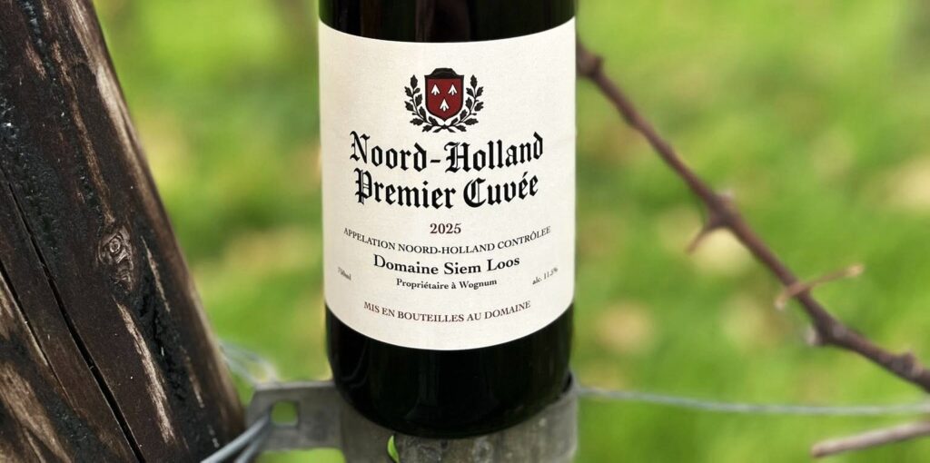 Primeurwijn Saalhof Loos