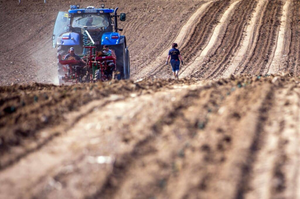 Groei wijngaardareaal 2025