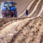 Groei wijngaardareaal 2025