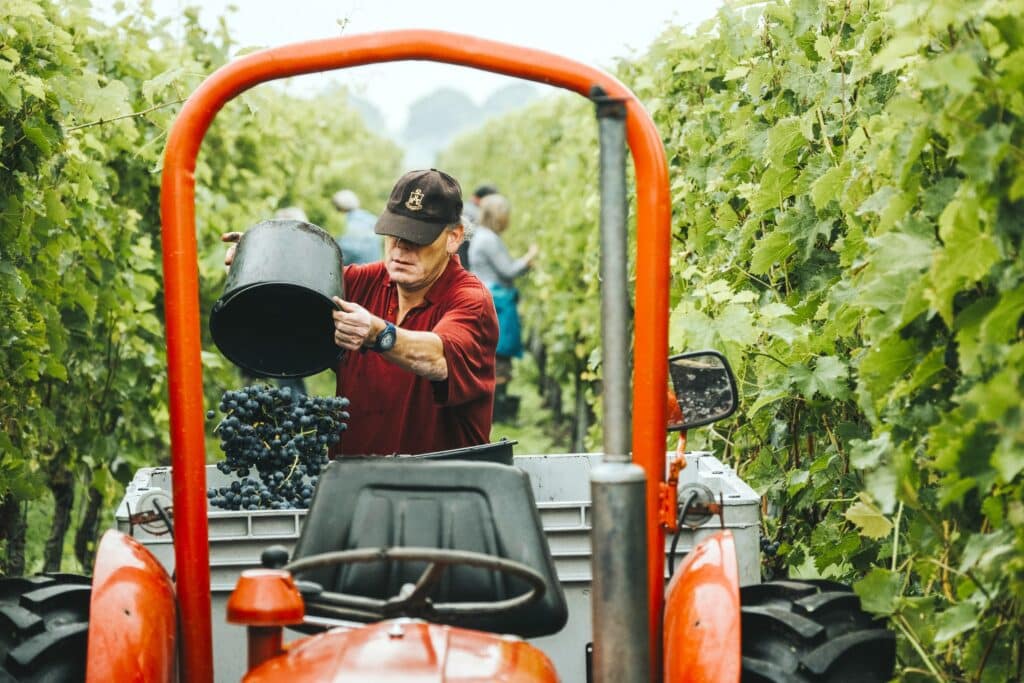 Impact certificering Reestlandhoeve